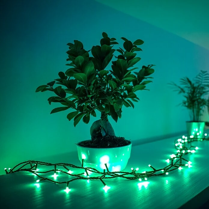 BAUHAUS Twinkly LED-Lichterkette Außen, 20 M, 250-flammig, Lichtfarbe: RGBW 3 BAUHAUS Twinkly LED-Lichterkette Außen, 20 M, 250-flammig, Lichtfarbe: RGBW