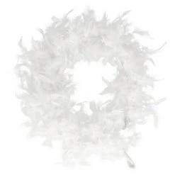 BAUHAUS Dekoelement Federboa Weiß, Federn