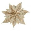 BAUHAUS Dekoblüten Weihnachtsstern Durchmesser: 18 Cm, Kunststoff, Champagner